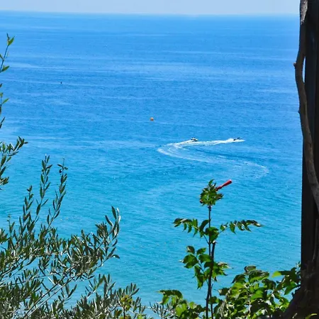 Apartment Corfu Pelekas